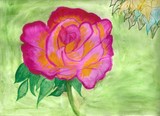 by Carol  Carron