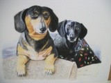 by cindy kelly