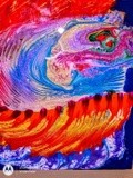 by Vivian Feltz