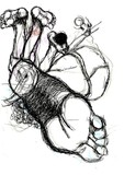 by Ana  Gomes