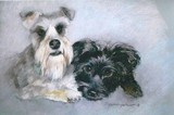 by Delores Herringshaw