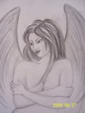 by Brenda Polito