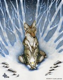 by Heather Luterman