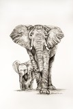 by Amanda Martin