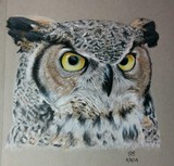 by Joanne  Steele