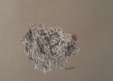 by Amanda Friesen