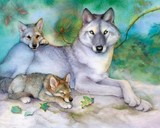 by Tracy Herrmann