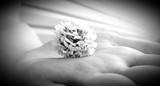 by Jessica Metras