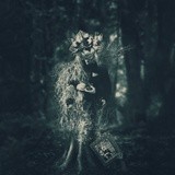 by James  Hurley 