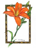 by Laura Horning