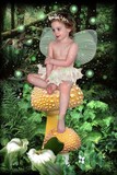 by katy sigle