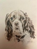 by Ariella Belau