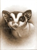 by Candy (Amanda) Christofferson (Meester)