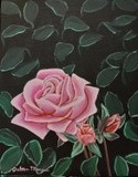 by Dalton Morgan
