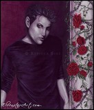 by Rebecca Sinz