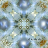 by Anne Vis