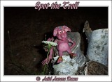 by Ariel Aurora Dawn