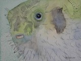 by Nancy Woolweber