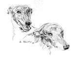 by Anne Kelty