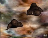 by Kent Stahre