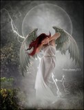 by Susan Carranza