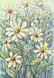 by Rhonda Shereck