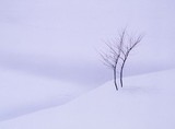 by Peter Skov