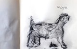 by José Ramalhão Fortunato
