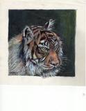 by Terri Walker