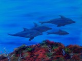 by Cynthia Adams