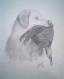 by sylvia Madajewski