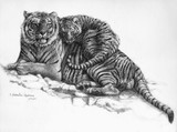 by Svetlana Ledneva-Schukina