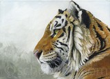 by Svetlana Ledneva-Schukina