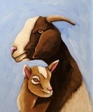 by Lucia Stewart