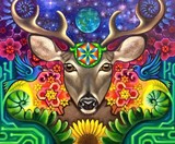 by Burgandy Viscosi