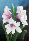 by seghaier lotfi