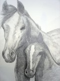 by donald penwell