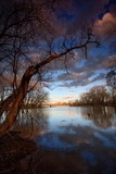 by Neil Shapiro