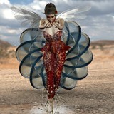 by Ben Vienerius