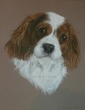 by Joanne Simpson-Connor