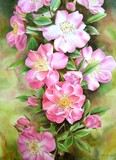 by Doris Joa