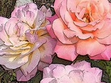 by Jessica Gates
