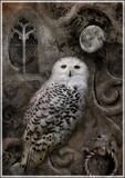 by Angela Jayne Barnett