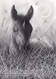 by Kirstin Mills