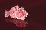 by Donna Sherwood