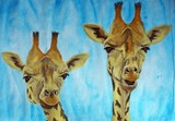 by Abby Guetz