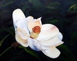 by Dell Belew
