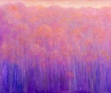 by Sara Harris
