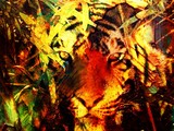 by karie Miller