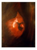 by Jacob D Hostetler M.F.A.